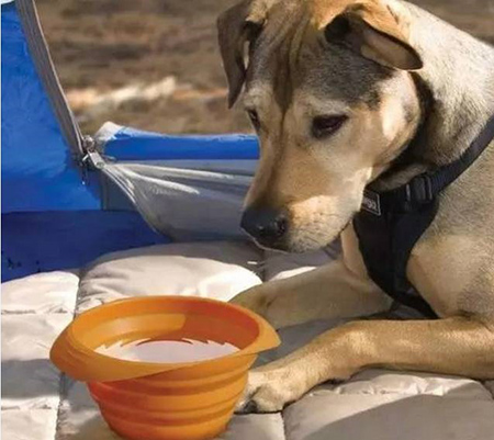 東莞<a href='http://m.tezzsj.com.cn/' class='keys' title='點擊查看關(guān)于帝博硅膠制品廠的相關(guān)信息' target='_blank'>帝博硅膠制品廠</a>