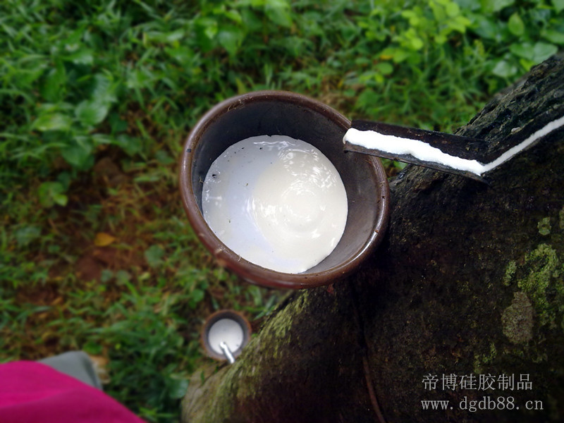 帝博硅膠制品廠家